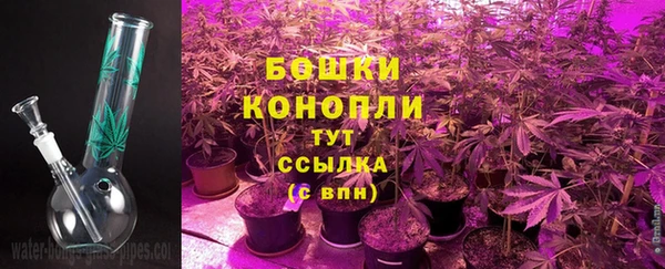ECSTASY Корсаков
