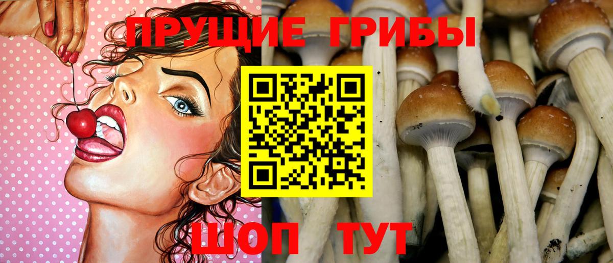 Псилоцибиновые грибы Psilocybe  Псилоцибиновые грибы Psilocybine cubensis  Вход с VPN  Волгодонск 